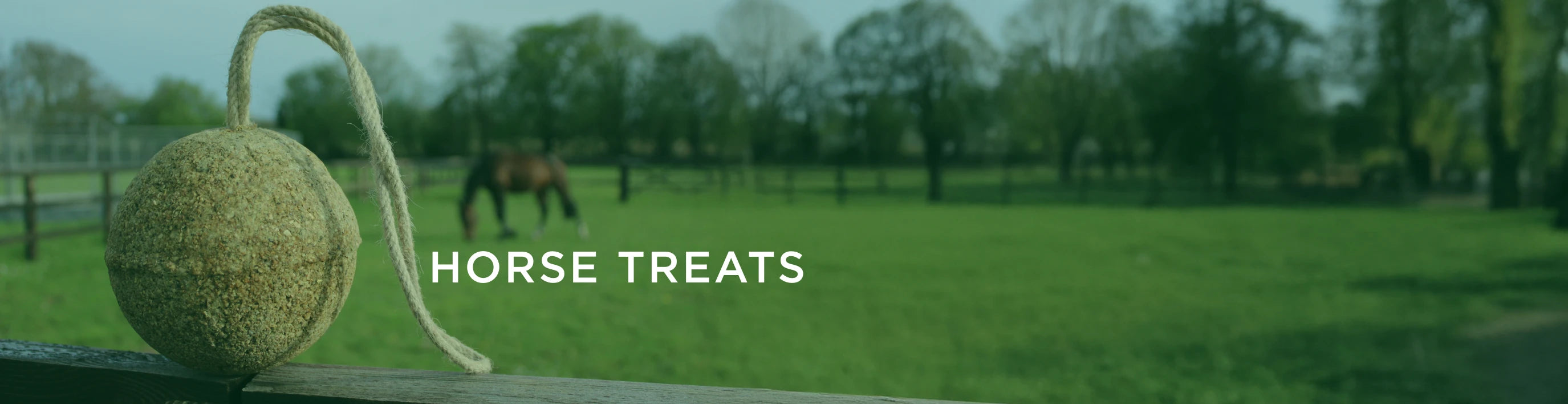Horse Treats