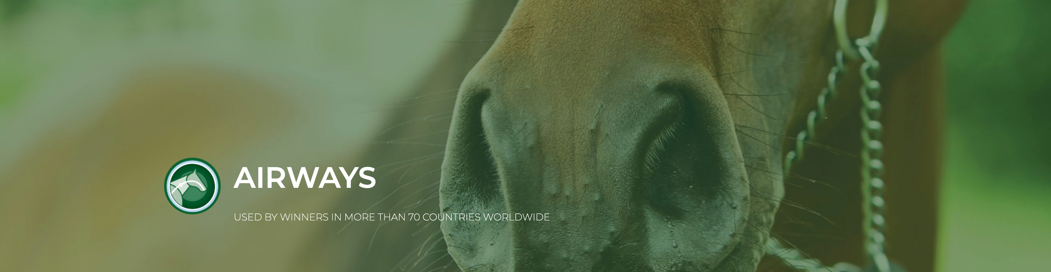 Airways