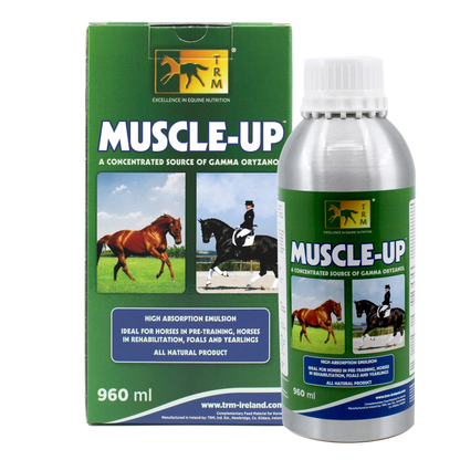 TRM Muscle-Up