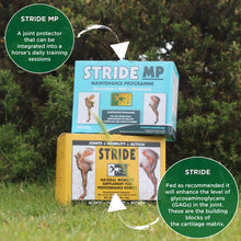 TRM Stride MP 60 x 20g