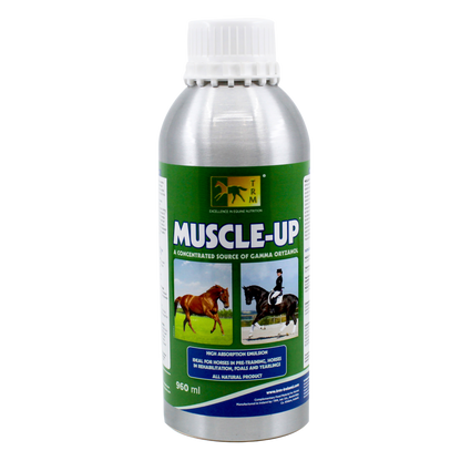 TRM Muscle-Up