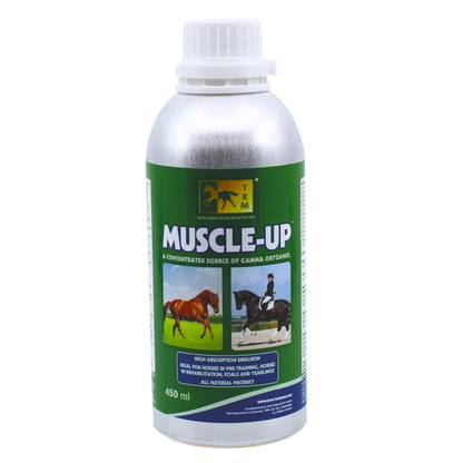 TRM Muscle-Up